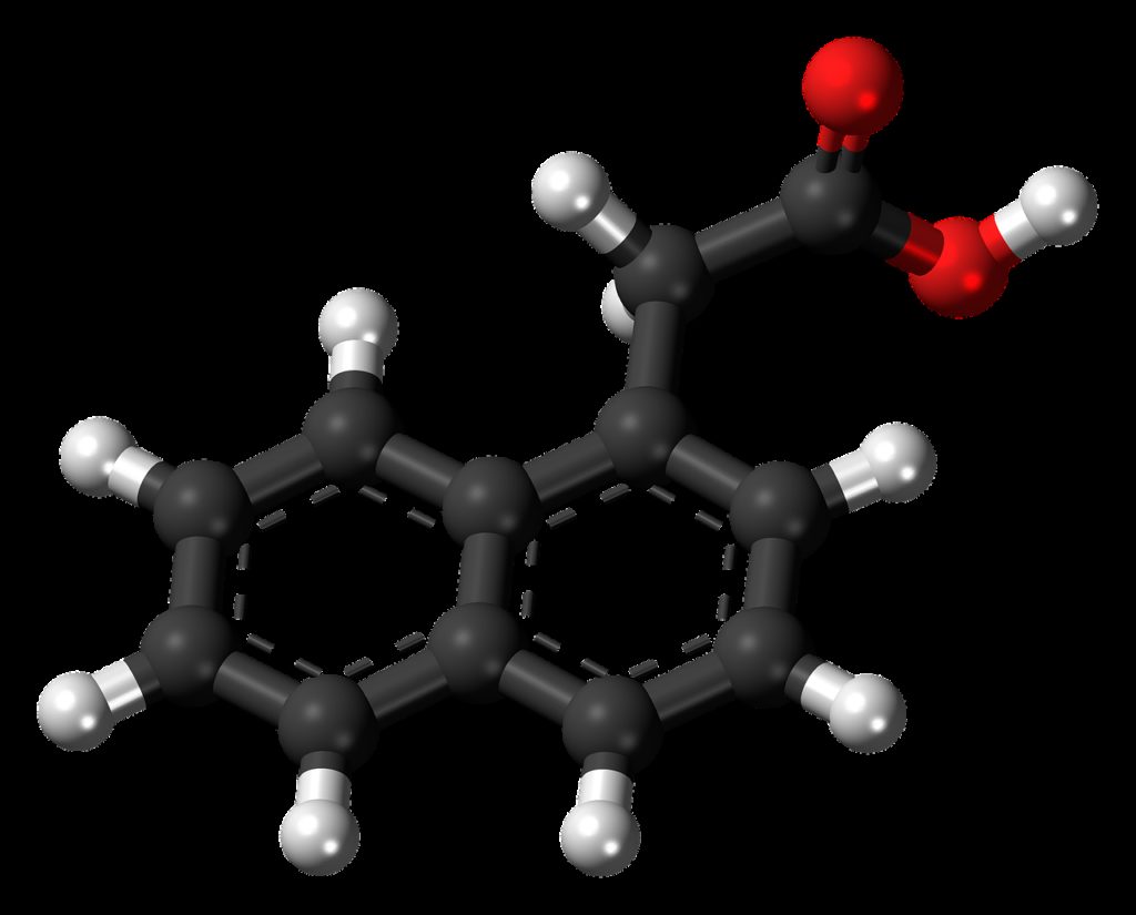 Hormone de croissance