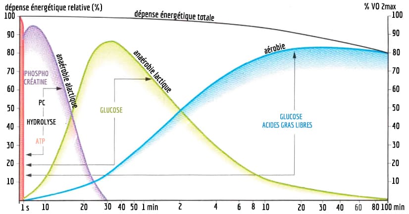 filières énergétiques